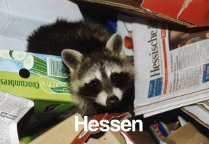 Hessen"